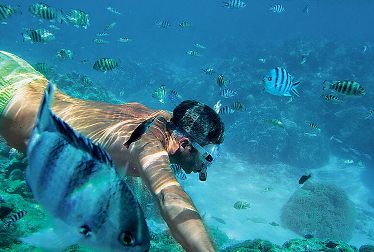 Fakarava pinnacle snorkel