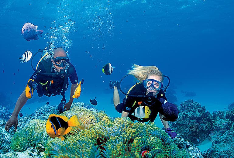 More Tuamotus & Society Islands 