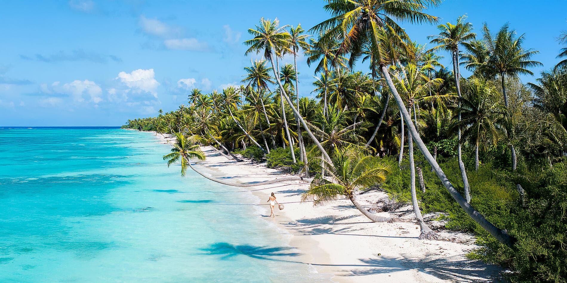 Society Islands & The Tuamotus