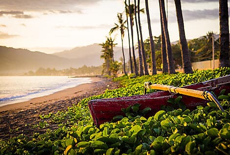 Feb 12, 27 > Feb 11, 27 - Dili, Timor Leste