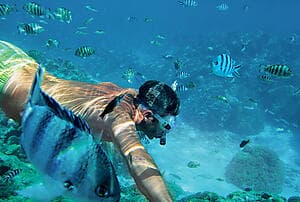 Fakarava pinnacle snorkel