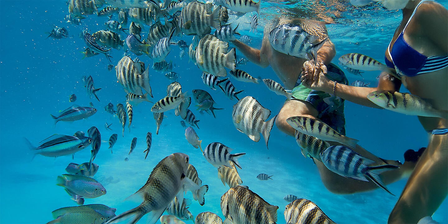 Society Islands & Tuamotus Society Islands & Tuamotus