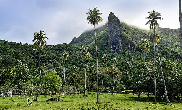 More Tuamotus & Society Islands